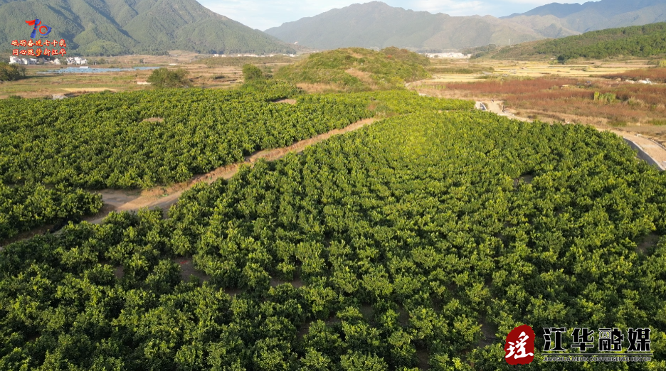 ScreenShot_2025-11-27_100014_925.png ScreenShot_2025-11-27_100014_925.png