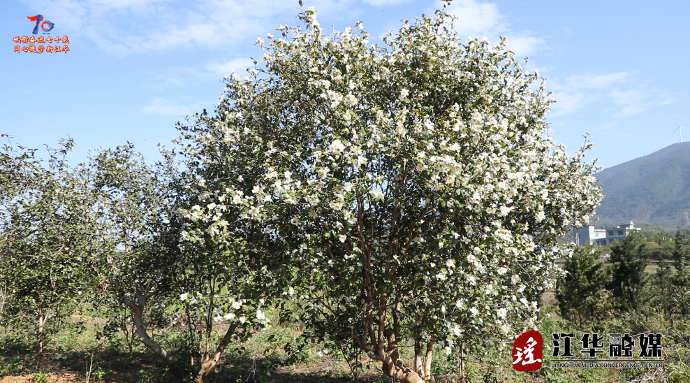 ScreenShot_2025-12-01_105603_325.png ScreenShot_2025-12-01_105603_325.png